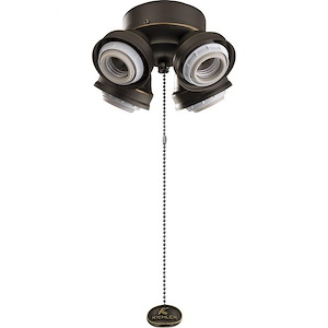 9W 4 LED Turtle Fitter - with Traditional inspirations - 3.75 inches tall by 6.75 inches wide - 1231112