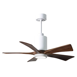 Eliot Parc-5 Five Blade Ceiling Fan with LED Light Kit in Contemporary Style 42 Inches Wide - 1379393