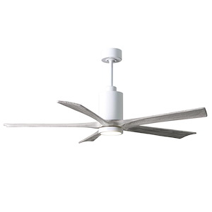 Eliot Parc-5 Five Blade Ceiling Fan with LED Light Kit in Contemporary Style 60 Inches Wide - 1379369