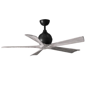 Appleby Court 5-Blade 52 Inch Ceiling Fan In Contemporary and Transitional Style - 1379380