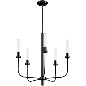 Beech Walk - 5 Light Chandelier In Soft Contemporary Style-25 Inches Tall and 24.5 Inches Wide - 1153265