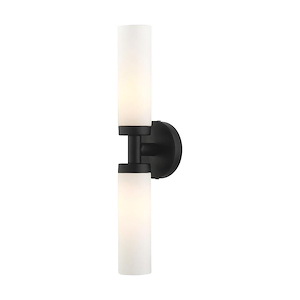 The Lampreys - 2 Light ADA Bathroom Light in Contemporary Style - 18 Inches wide by 4.25 Inches high - 1122512