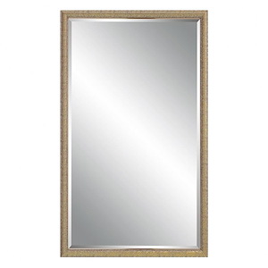 Mirror-40 Inches Tall and 24 Inches Wide - 1326299