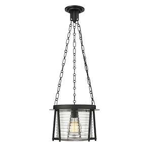 Ely Brae 1 Light Medium Pendant - 1378368