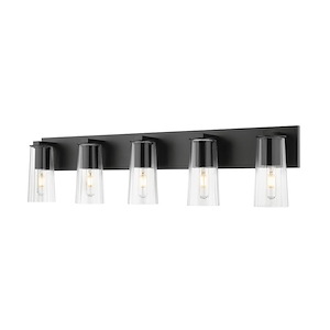 Apsley Fields 5 Light Vanity Light - 1378420