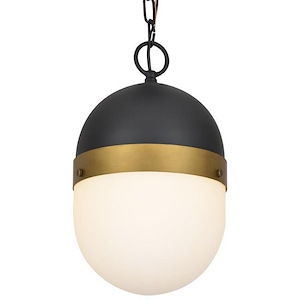 Nut Lane - One Light Outdoor Pendant - 1148717