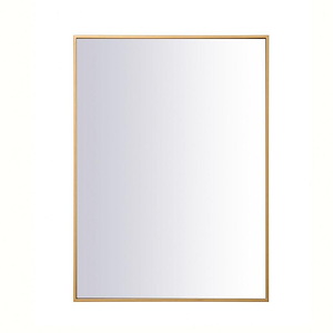 Windermere Mount - Rectangular Mirror In Contemporary Style-36 Inches Tall and 27 Inches Wide - 1302771