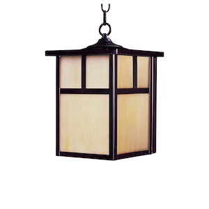 Ellis Ridings - 1 Light Outdoor Hanging Lantern - 1391335