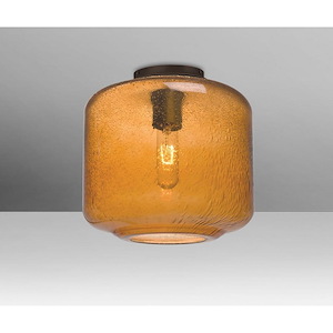 Niles 10-One Light Semi-Flush Mount-9.5 Inches Wide by 10 Inches High - 617707