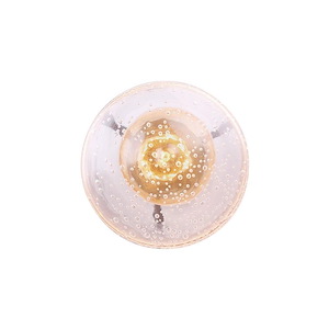 Product Thumbnail 7