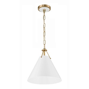 Xavier - 1 Light Pendant - 1033826