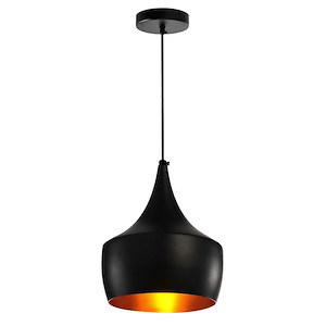 1 Light Mini Pendant with Black Finish - 902824