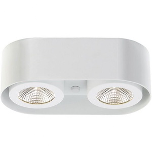 Nymark - 10.5 Inch 20W 2 Led Surface Mount - 1334504