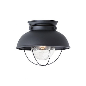 Sea Gull Lighting-Sebring Transitional 1 Light Outdoor Ceiling Fixture in Transitional Style-11 Inch wide by 9.25 Inch high - 596849