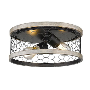 Bailey Two Light Flush Mount - 11 Inch - 1218049