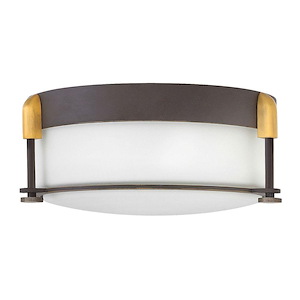 Colbin - 2 Light Medium Flush Mount in Transitional Style - 12.5 Inches Wide by 4.75 Inches High - 599981