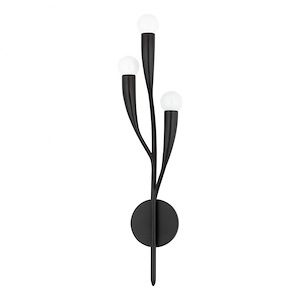 Labra - 3 Light Wall Sconce - 1071284