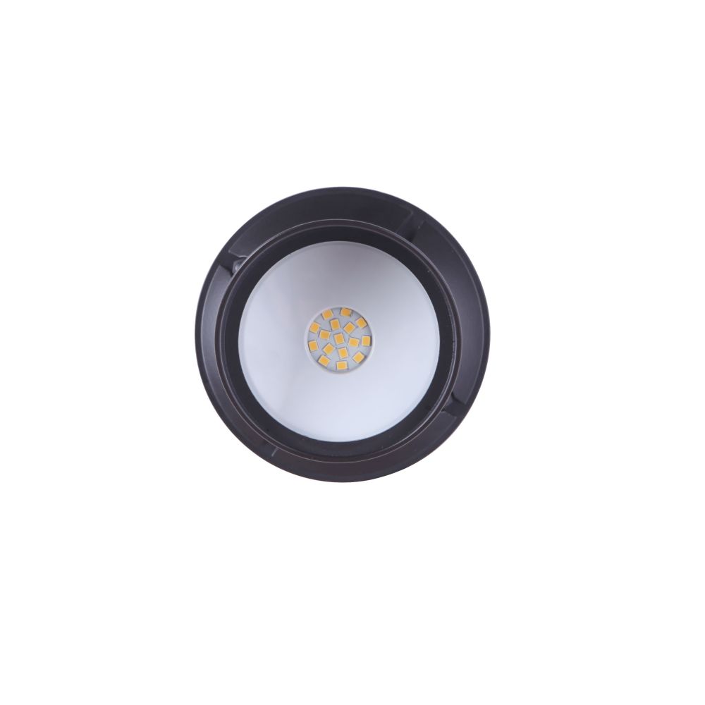 Z421-MN-LED