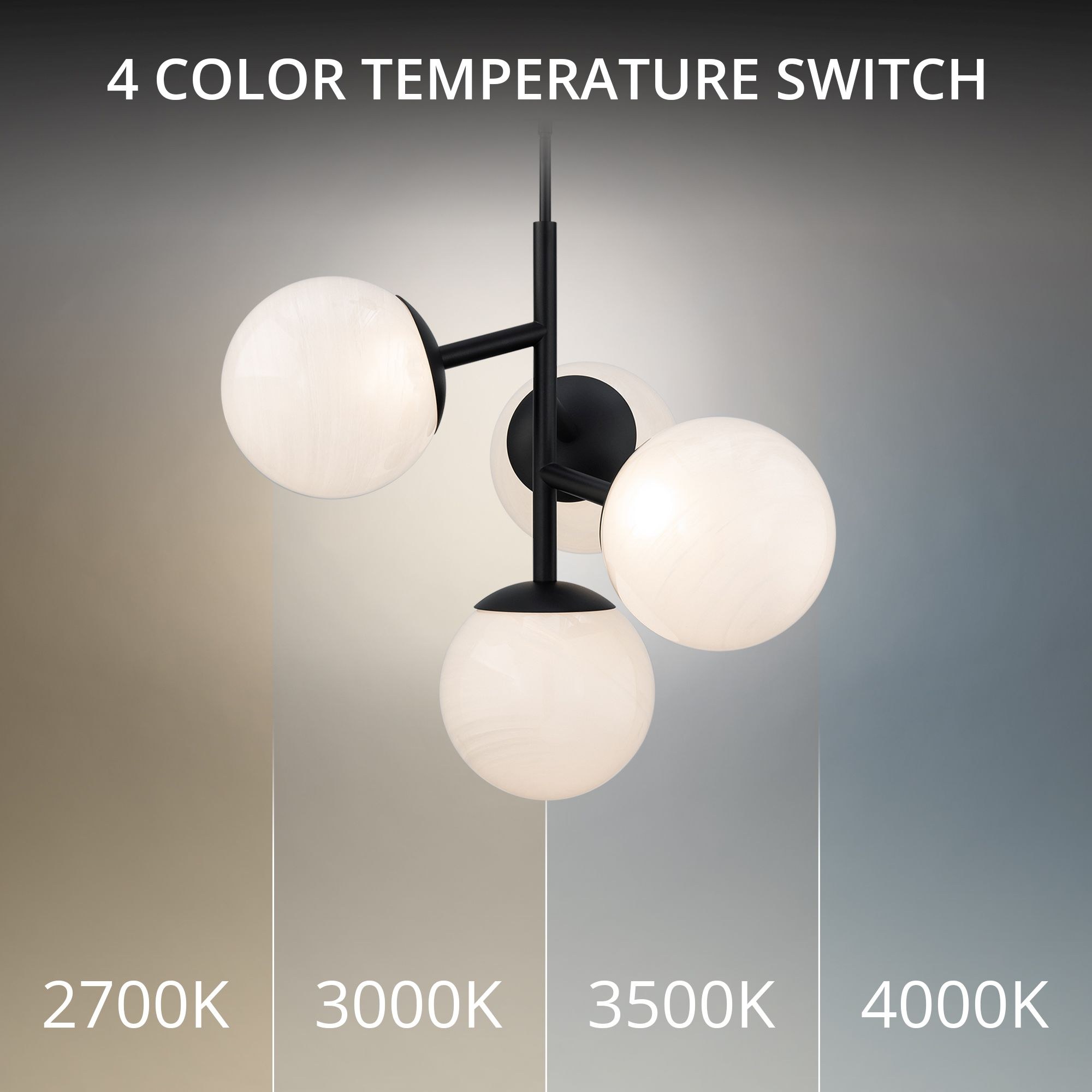 PD-23527-40-BK