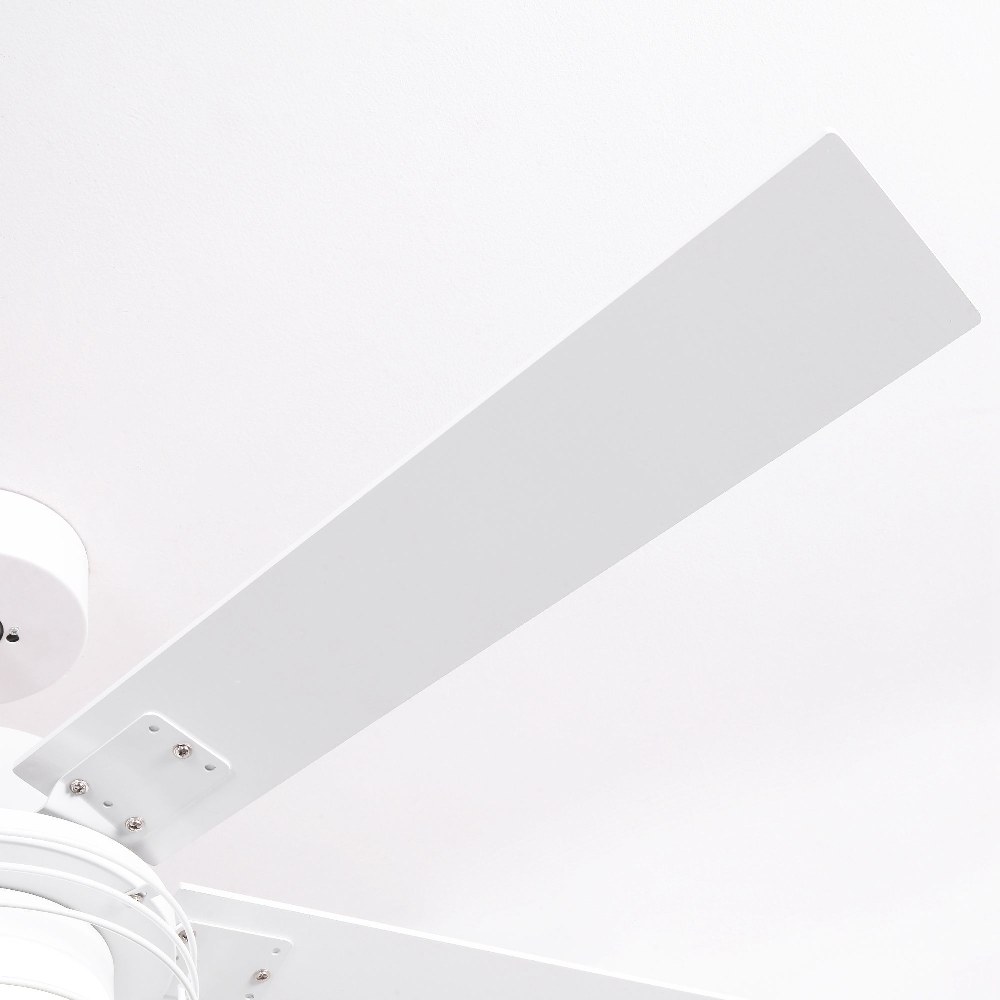 F6002WH
