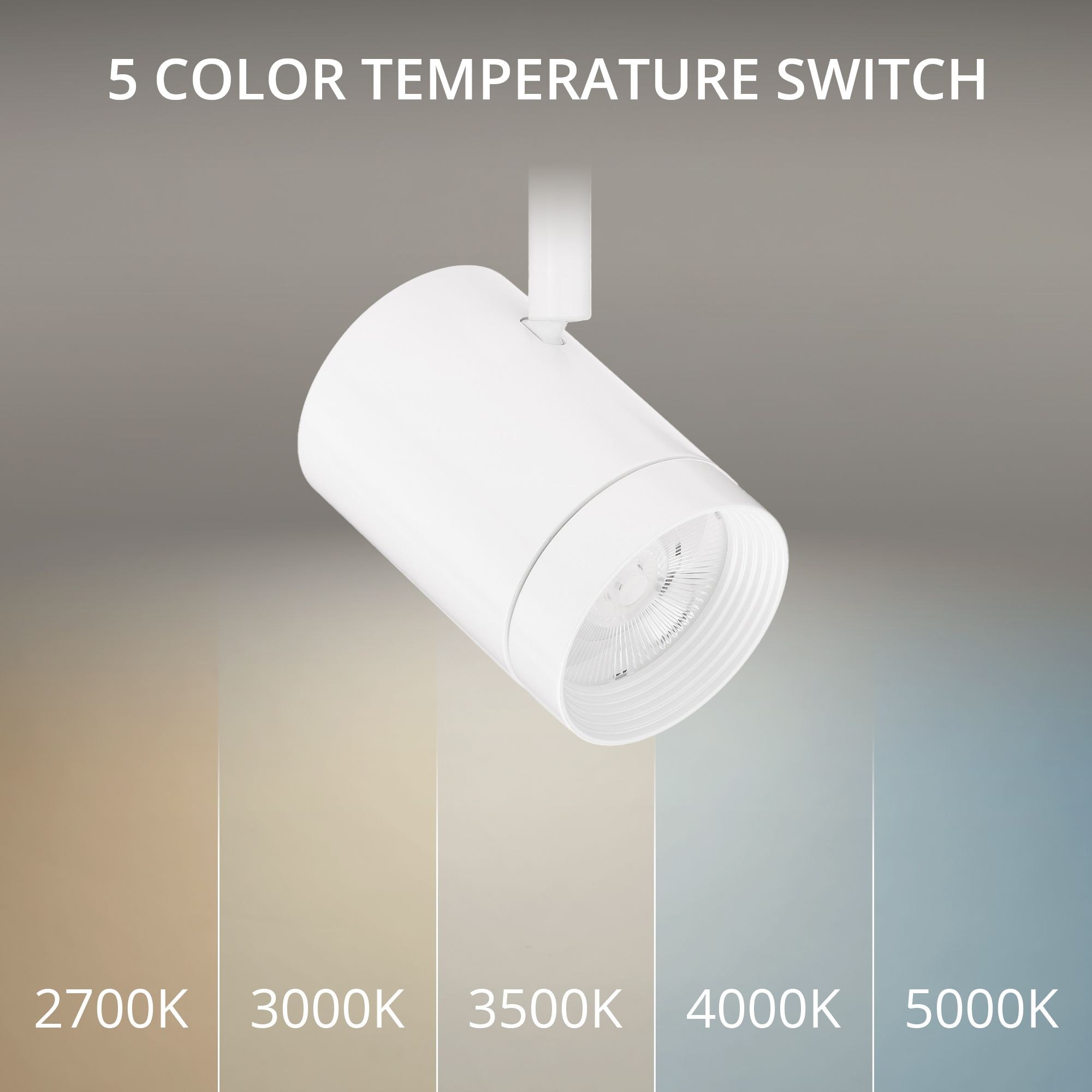 L-7012-CS-WT