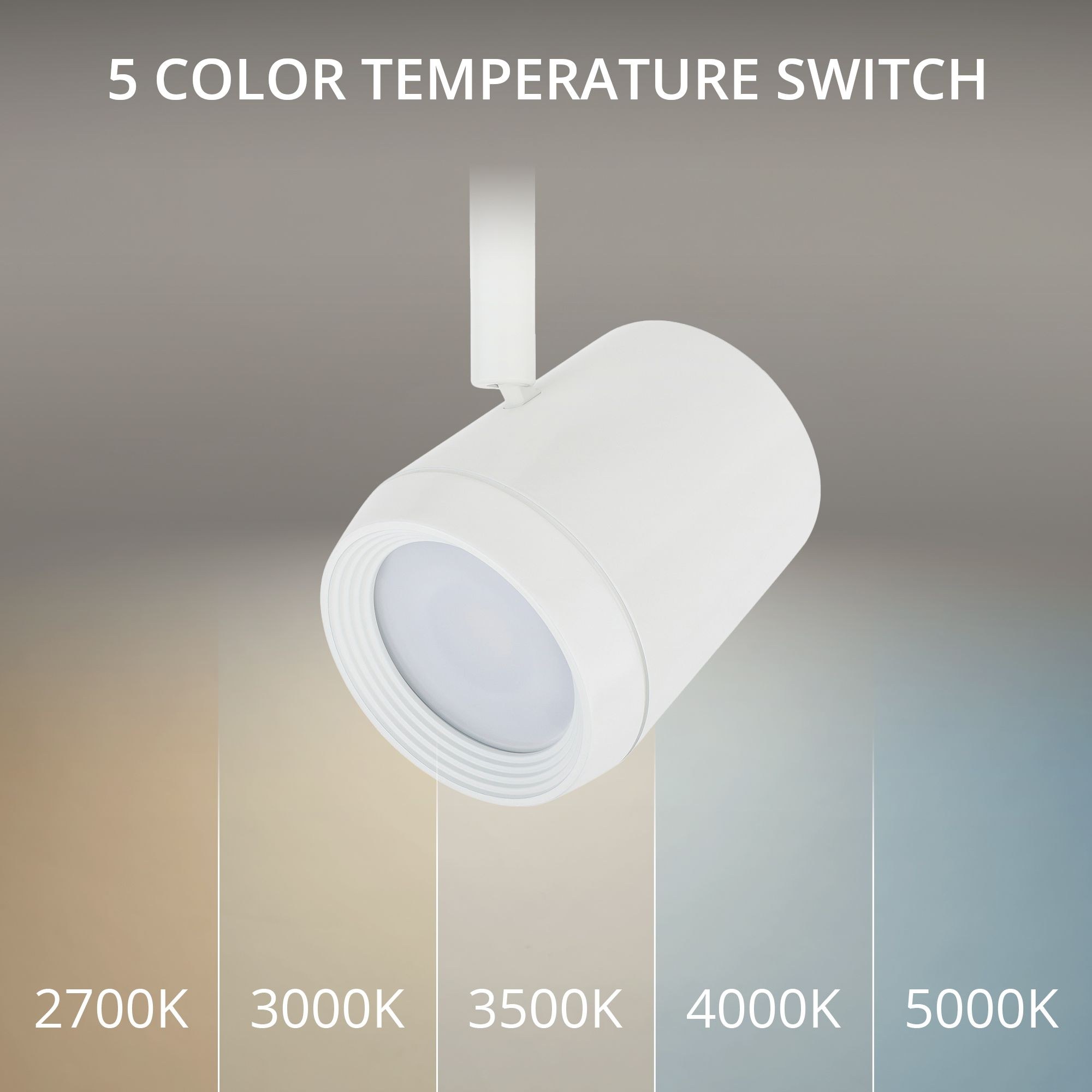 H-7030-CS-WT