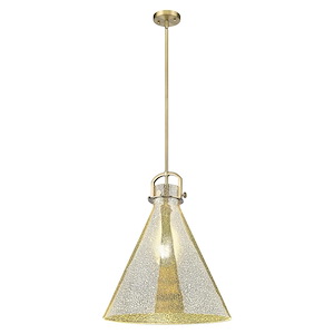 Newton Cone - 1 Light Pendant-20 Inch Tall and 18 Inch Wide - 1423299