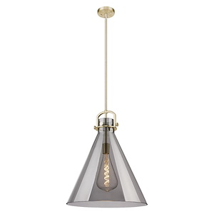 Newton Cone - 1 Light Pendant-20 Inch Tall and 18 Inch Wide - 1423245