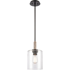 Paladin - 100W 1 LED Stem Hung Mini Pendant-13.13 Inch Tall and 7.13 Inch Wide - 1428351