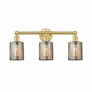 Cobbleskill - 3 Light Bath Vanity In Industrial Style-11.5 Inches Tall and 23 Inches Wide - 1316869