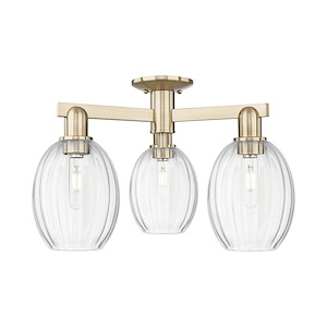 Preston - 3 Light Semi-Flush Mount-12.63 Inch Tall and 23.75 Inch Wide - 1374007