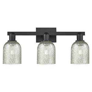 Caledonia - 3 Light Bath Vanity-10.75 Inch Tall and 24 Inch Wide - 1388050