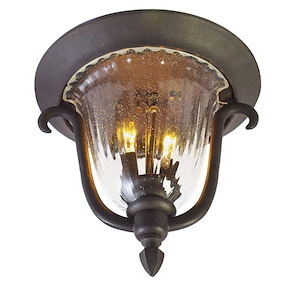 Santa Barbara - 2 Light Outdoor Flush Mount - 156468