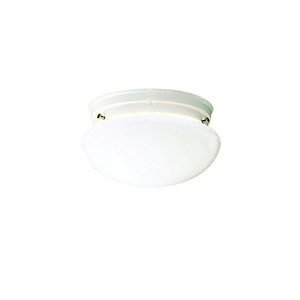 Ceiling Space - 2 Light Ceiling Mount - with Utilitarian inspirations - 5.25 inches tall by 8.75 inches wide - 966354