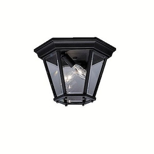 Trenton - 2 light Outdoor Flush Mount - 7.25 inches tall by 10.75 inches wide - 966487
