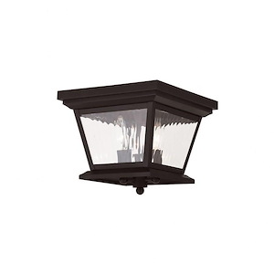 Hathaway - 3 Light Outdoor Wall Lantern in Coastal Style - 10 Inches wide by 15 Inches high - 443781