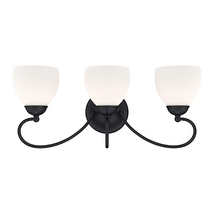 Brookside - 3 Light Bath Vanity in New Traditional Style - 22.75 Inches wide by 9.75 Inches high - 374758