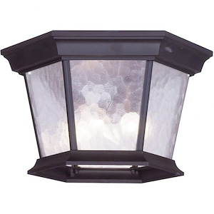 Hamilton - 3 Light Outdoor Flush Mount in Traditional Style - 11 Inches wide by 7 Inches high - 1220211