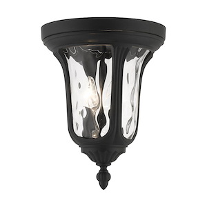 Oxford - 2 Light Outdoor Flush Mount in Traditional Style - 11 Inches wide by 13.75 Inches high - 1012225