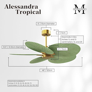 Product Thumbnail 9