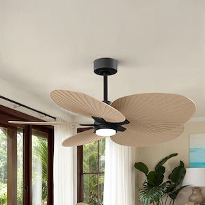 Product Thumbnail 9