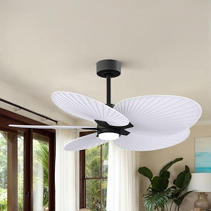 Product Thumbnail 9
