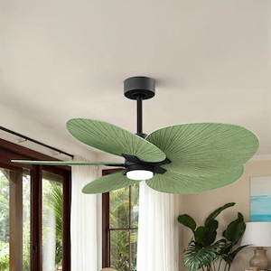Product Thumbnail 9