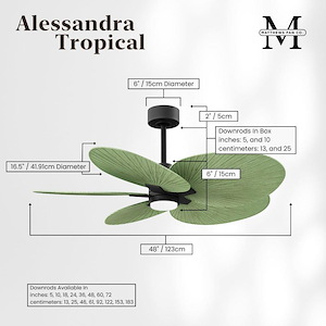 Product Thumbnail 9