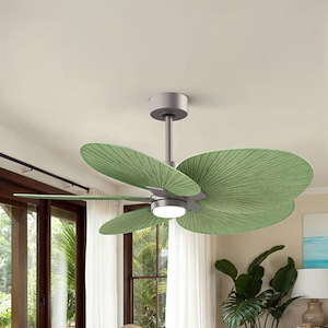 Product Thumbnail 9