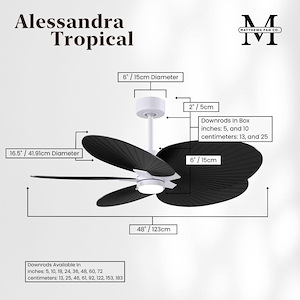 Product Thumbnail 9