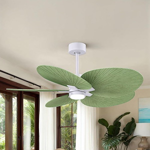 Product Thumbnail 9