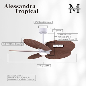 Product Thumbnail 9