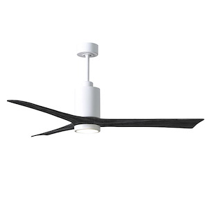 Patricia-3 - 3 Blade Ceiling Fan with Light Kit-14 Inch Tall and 60 Inch Wide - 543260