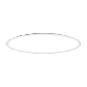 Low Profile EE-Two Light Flush Mount in Commodity style-14 Inches wide by 2.5 inches high - 1213976